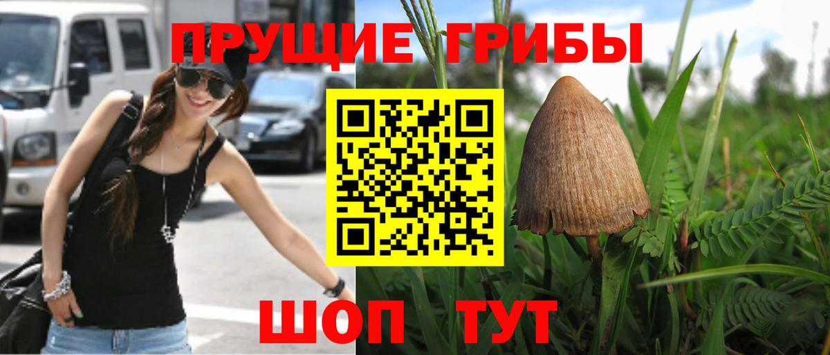 Псилоцибиновые грибы мухоморы  Вход с VPN  Рыбинск 