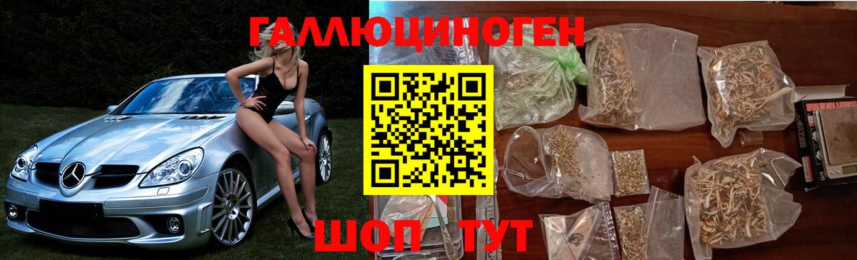 Галлюциногенные грибы GOLDEN TEACHER Рыбинск